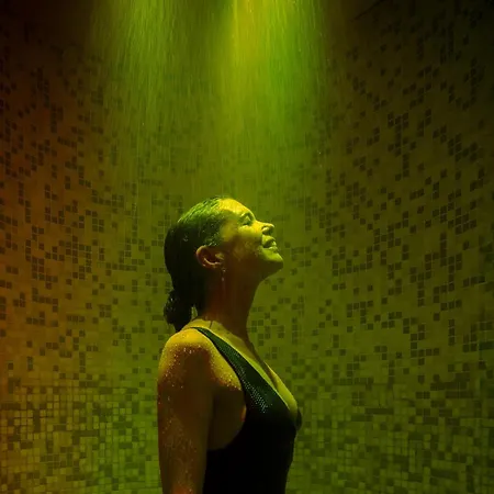 Hilton Centre 5* Turin