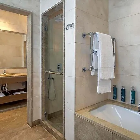 Hilton Centre Hotell 5*