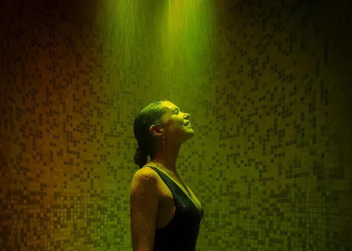 Hilton Centre 5* Turin